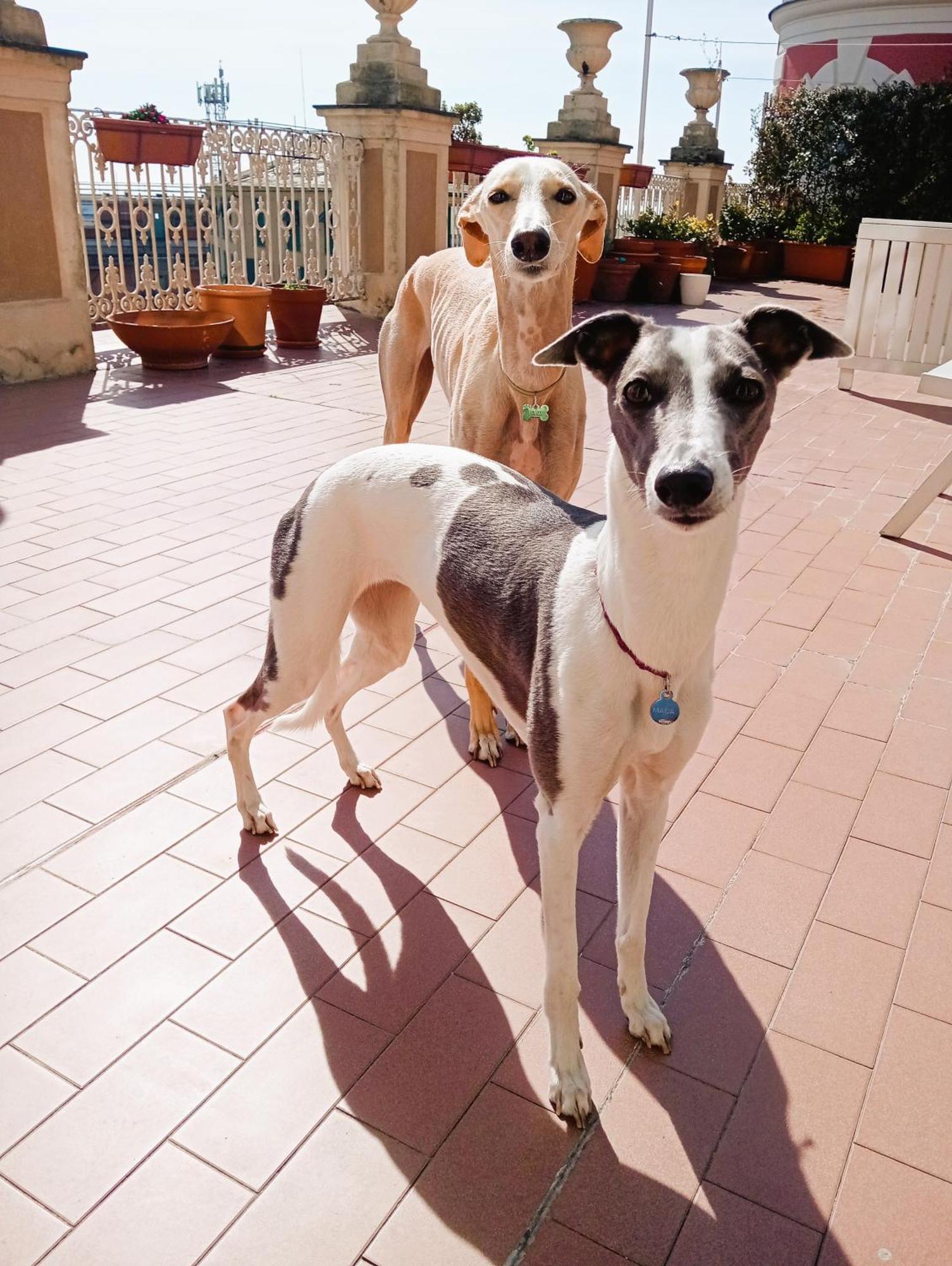 I Musetti Guesthouse Genoa Bagian luar foto